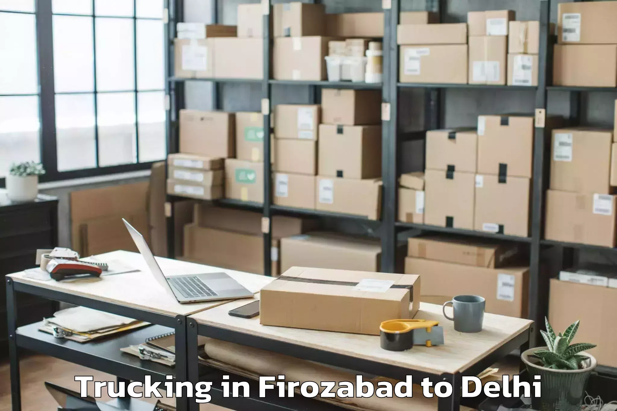 Professional Firozabad to Westend Mall Delhi Trucking